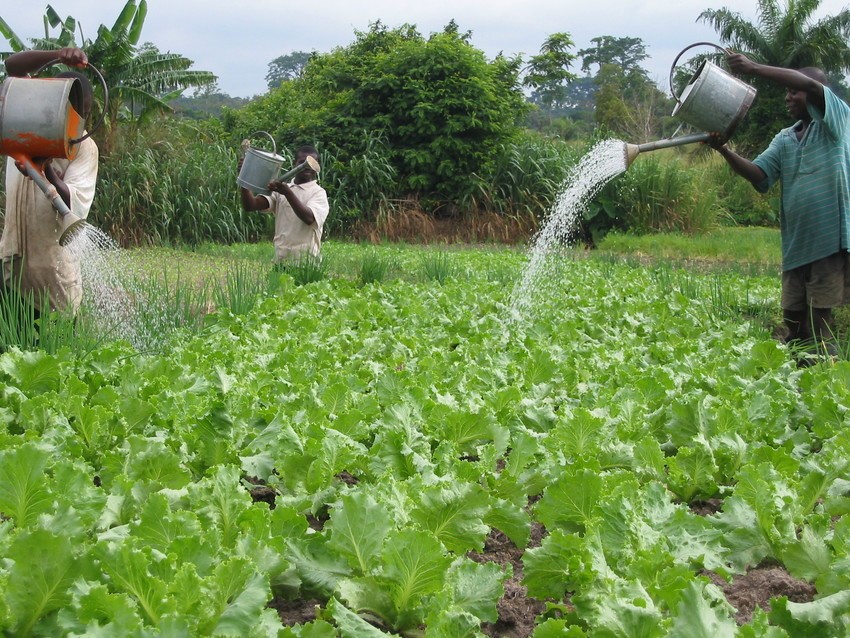 attraction-Kandal Introduction Farm.jpg